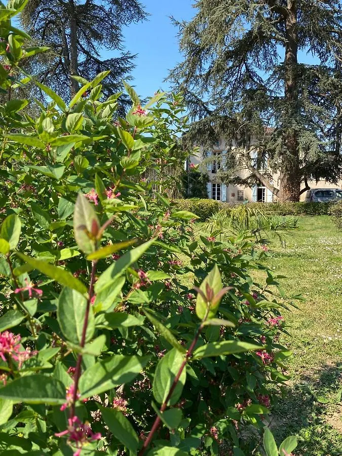 La Bastide De Mary Villa Lisle-sur-Tarn France