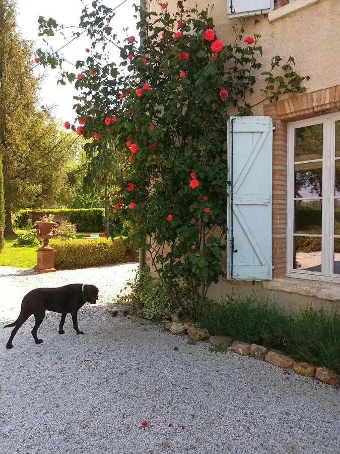 La Bastide De Mary Villa Lisle-sur-Tarn Holiday home